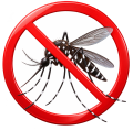 Mosquito da Dengue